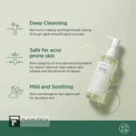 Anua Heartleaf Pore Control Cleansing Oil - Image 2